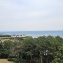 소노캄 제주 이스트타워 이미지