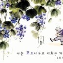 포도나무 이미지