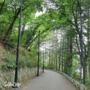 행복한깜시 이미지