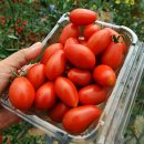 비암장수팜스테이마을 | 경기도 ﻿양주시가볼만한곳 양주 비암리장수마을 자연과숲체험농장