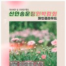 파인클라우드 이미지