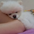 구미 옥계 만리수산 내돈내산 후기
