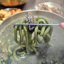 웃뜨르 | 제주 한경면 맛집 : 전복칼국수, 전복비빔밥 추천 [웃뜨르항아리] 솔직후기