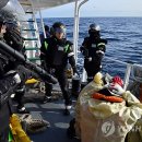 동해-단속-16 이미지