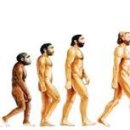 수원-0235 이미지