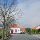 밸리민박 | 포르투 근교 여행 당일치기 와이너리 ‘오다가다 도우루 밸리 투어’