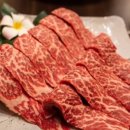 야끼니꾸 풍경 이미지