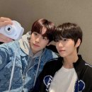 대영수지 이미지