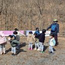 천전초병설유치원 이미지