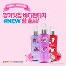 바디 이미지