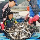 부산꼼장어 이미지