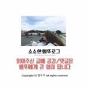 [부산 해운대맛집]비오는날 먹기 좋았던 가성비 우동집, 홍우동