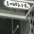 도깨비나무 이미지