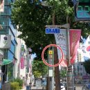 매그네이트 이미지