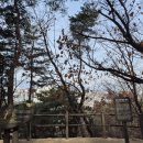우리통닭 네이버블로그
