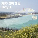 801 | [제주도 가족여행] 2박3일 일정공유 - day 1 동쪽 유채꽃 루트