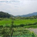 구산면693 네이버블로그
