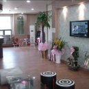 드림골프스토리 이미지