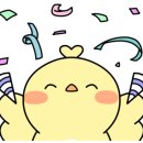 26썬팅