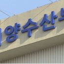 케이다이버스 이미지