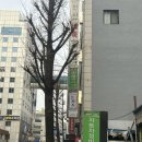 현약손 | 안양일번가 마사지 추천 : 황후약손테라피 리얼후기