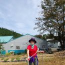 수아농장 이미지