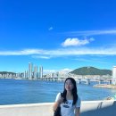 절영마 및 조내기를 | 부산여행 부산버스투어 절영마 영도투어버스