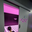 롯데리아 홍성점 | 홍성 내포 던전스텝 아이와 가볼만한곳 내돈내산 방문 후기