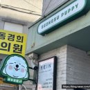 성수퍼피 이미지