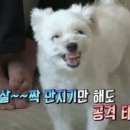 갤러리의원 이미지