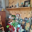 출렁다리웰빙건강쌈밥 이미지