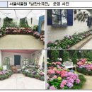 그린아리 이미지