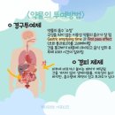 담연주 이미지