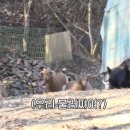 이명규농장 티스토리