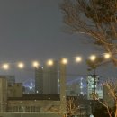 청산1954 이미지