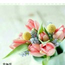 차1리 경로당 이미지