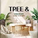 자작나무도서관 이미지