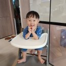 화세탁 | 스토케 트리트랩 뉴본 세트 사용시기 세탁 모빌 내돈내산 솔직후기
