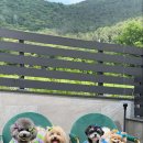 프리메오스 이미지