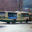 삼신교통 이미지