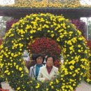 구자농장 이미지