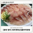 가성수족관 | 청주 가경동 횟집 가성비 횟집 회싸게파는집활어직판장 대방어 포장 솔직 후기