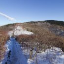 우리나라 행정사 이미지