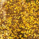 (주) 암새들 이미지