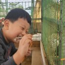 Ktigers 감일 태권도장 이미지