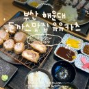 카츠담아 좌동점 | 부산 해운대 돈까스 맛집 유유카츠ㅣ모듬카츠 부위•흑돼지 특로스 비교