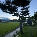 운봉의뜰 이미지