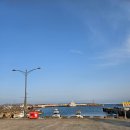 제주청년회 | 구좌 횟집 제주청년회 바다한상세트, 광어, 고등어회 후기