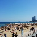 세동한의원 이미지