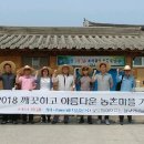 포도향이흐르는마을 머니투데이